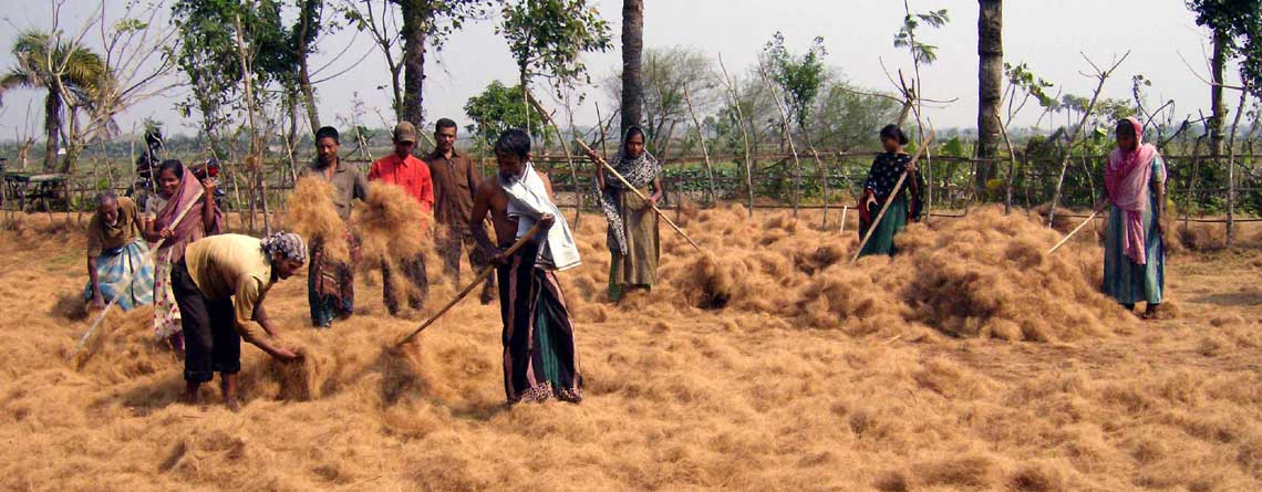 Work on field