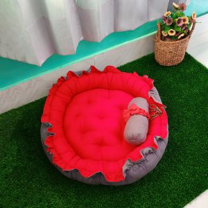 Cat Cushion Sofa / Bed (CSB004)