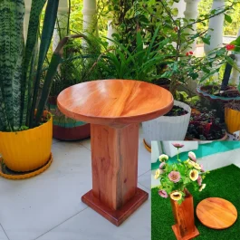 Wooden Multifunctional Tea Table (WMT001)