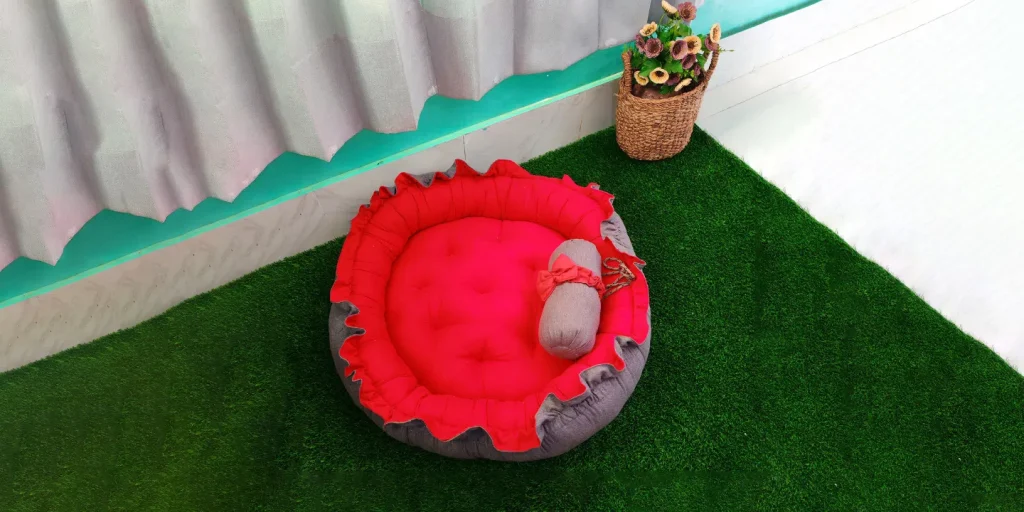 Pet Care